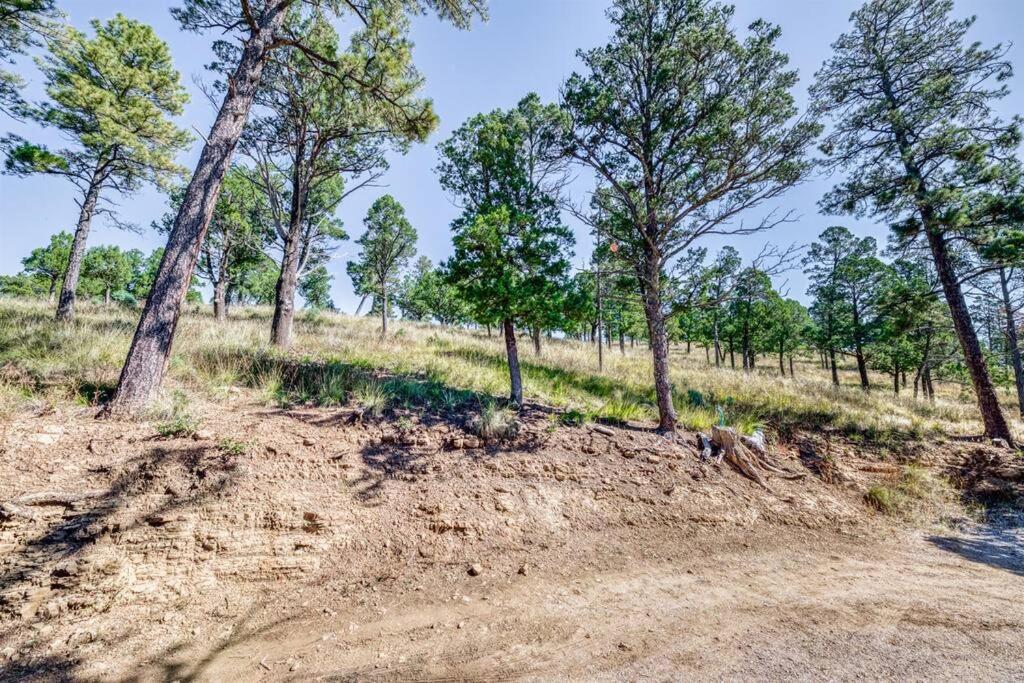 Perk Canyon Hidden Acres-Hot Tub-Gas Fireplace Ruidoso Dış mekan fotoğraf